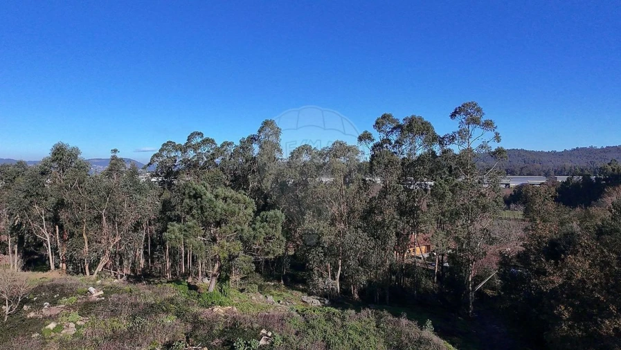 Terreno Agricola ou Rústico para Venda em Alheira e Igreja Nova Foto 4