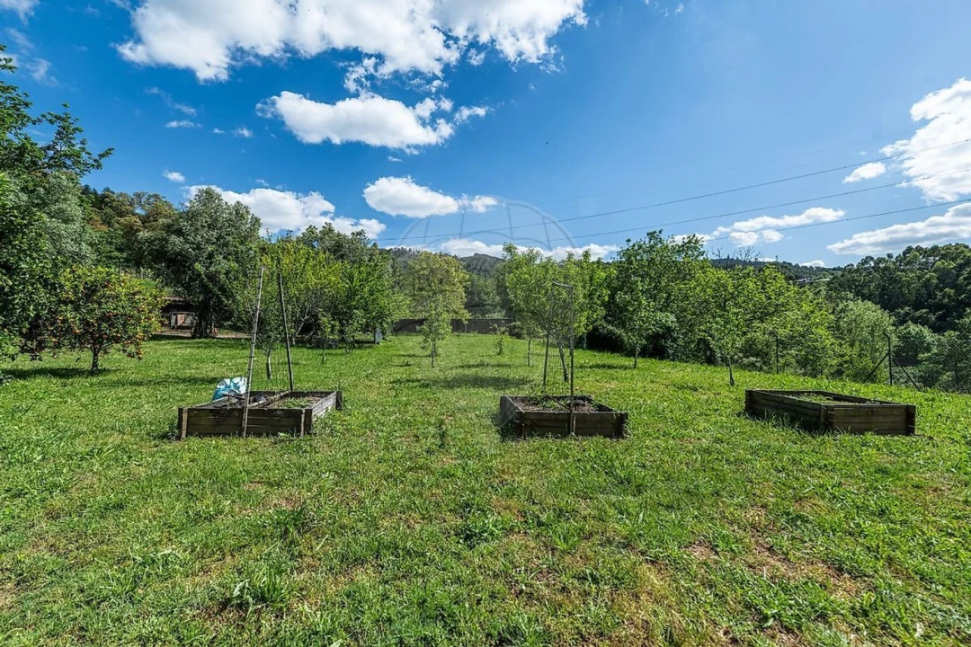 Moradia T4 para Venda em Belazaima do Chão, Castanheira do Vouga e Agadão Foto 25