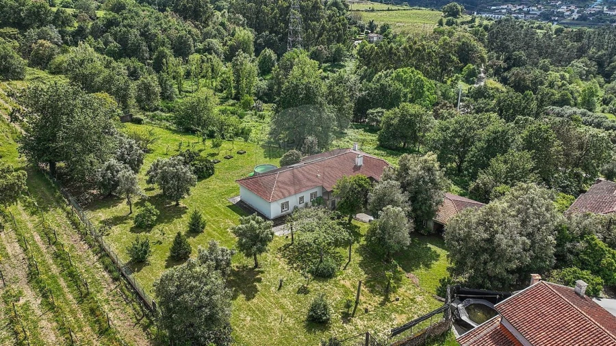 Moradia T4 para Venda em Belazaima do Chão, Castanheira do Vouga e Agadão Foto 6