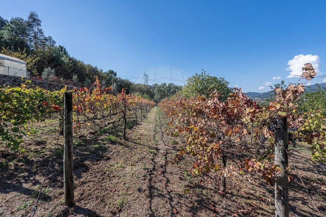 Moradia T3 para Venda em Águas Santas e Moure Foto 45