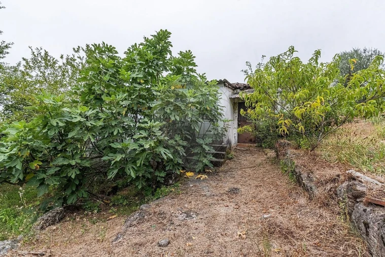 Moradia T2 para Venda em Galegos Foto 24