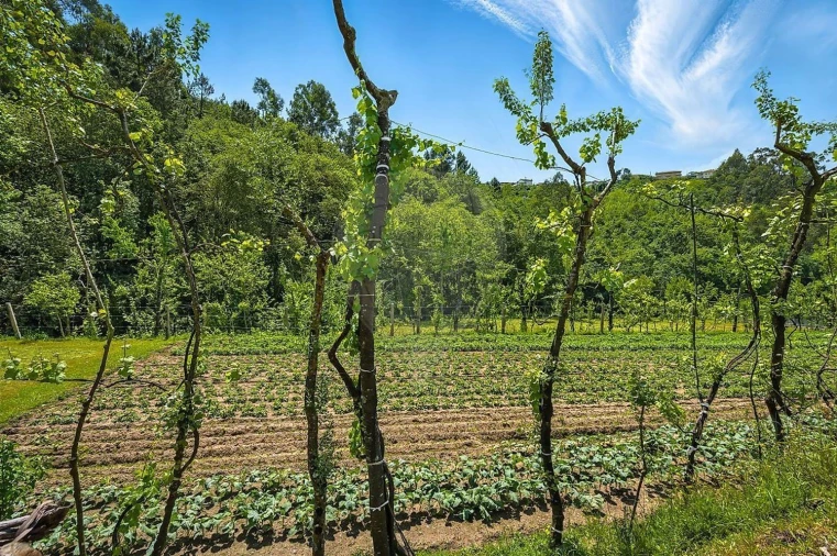 Moradia T2 para Venda em Belazaima do Chão, Castanheira do Vouga e Agadão Foto 20