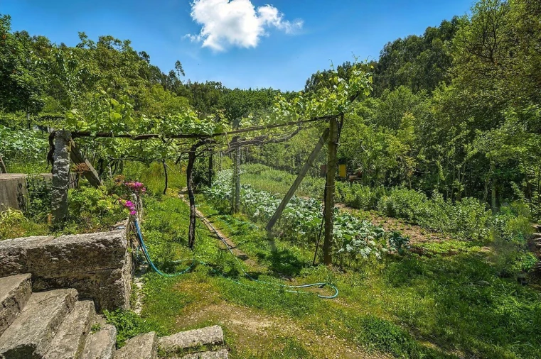 Moradia T2 para Venda em Belazaima do Chão, Castanheira do Vouga e Agadão Foto 21