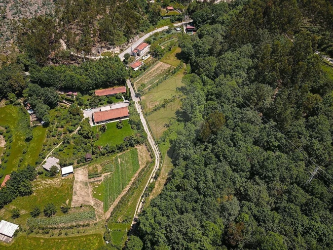 Moradia T2 para Venda em Belazaima do Chão, Castanheira do Vouga e Agadão Foto 5
