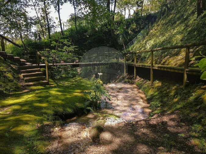 Moradia T2 para Venda em Belazaima do Chão, Castanheira do Vouga e Agadão Foto 9