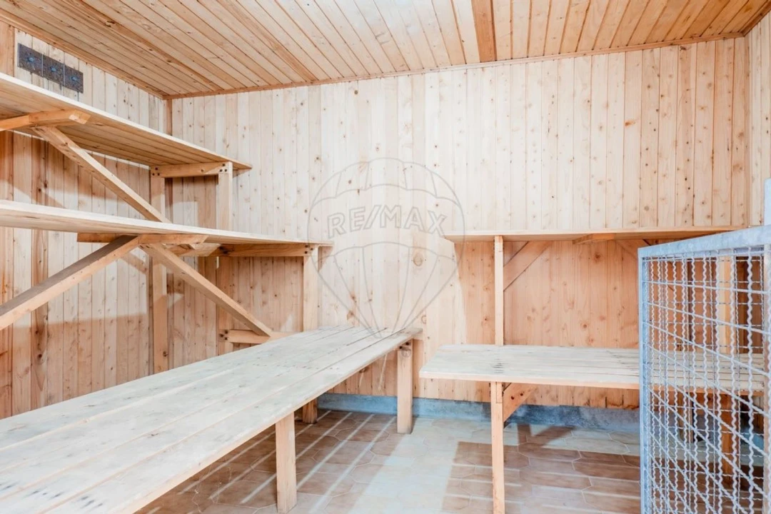 Moradia T6 para Venda em Belazaima do Chão, Castanheira do Vouga e Agadão Foto 27