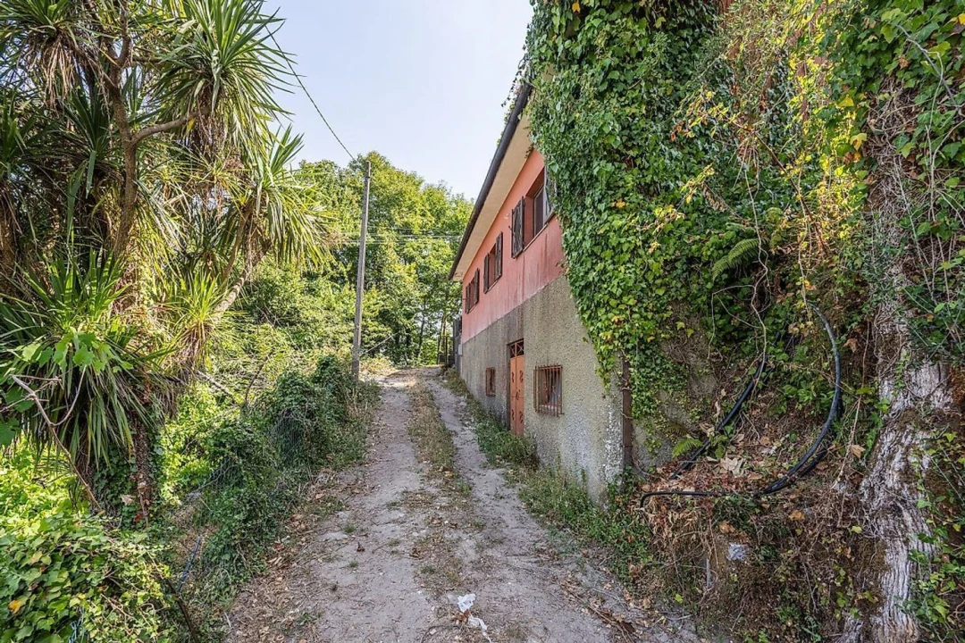 Moradia T4 para Venda em Belazaima do Chão, Castanheira do Vouga e Agadão Foto 37