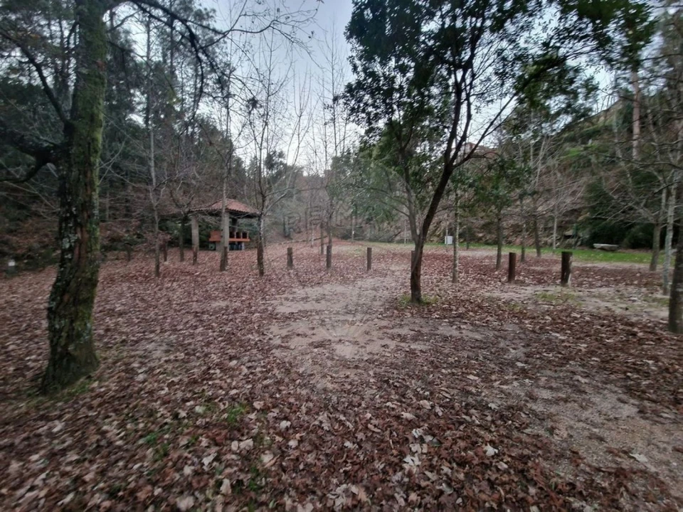 Moradia T21 para Venda em Belazaima do Chão, Castanheira do Vouga e Agadão Foto 22