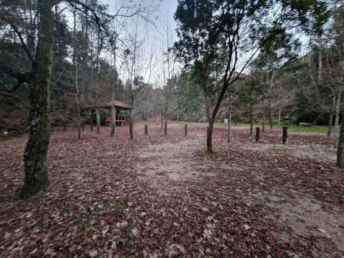 Moradia T21 para Venda em Belazaima do Chão, Castanheira do Vouga e Agadão Foto 22
