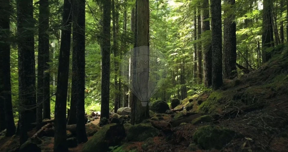 Moradia T21 para Venda em Belazaima do Chão, Castanheira do Vouga e Agadão Foto 29