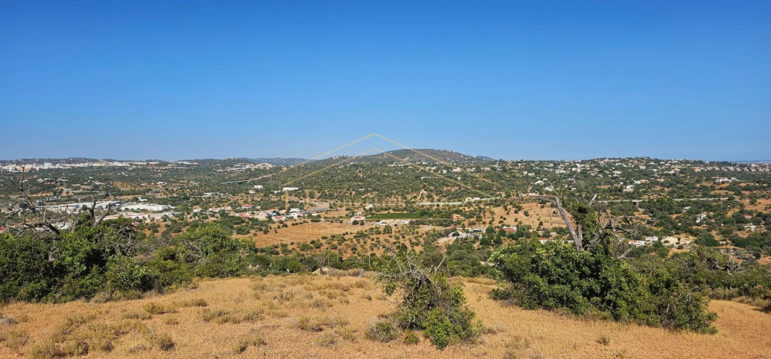Apartamento para Venda em Loule (São Sebastião) Foto 3