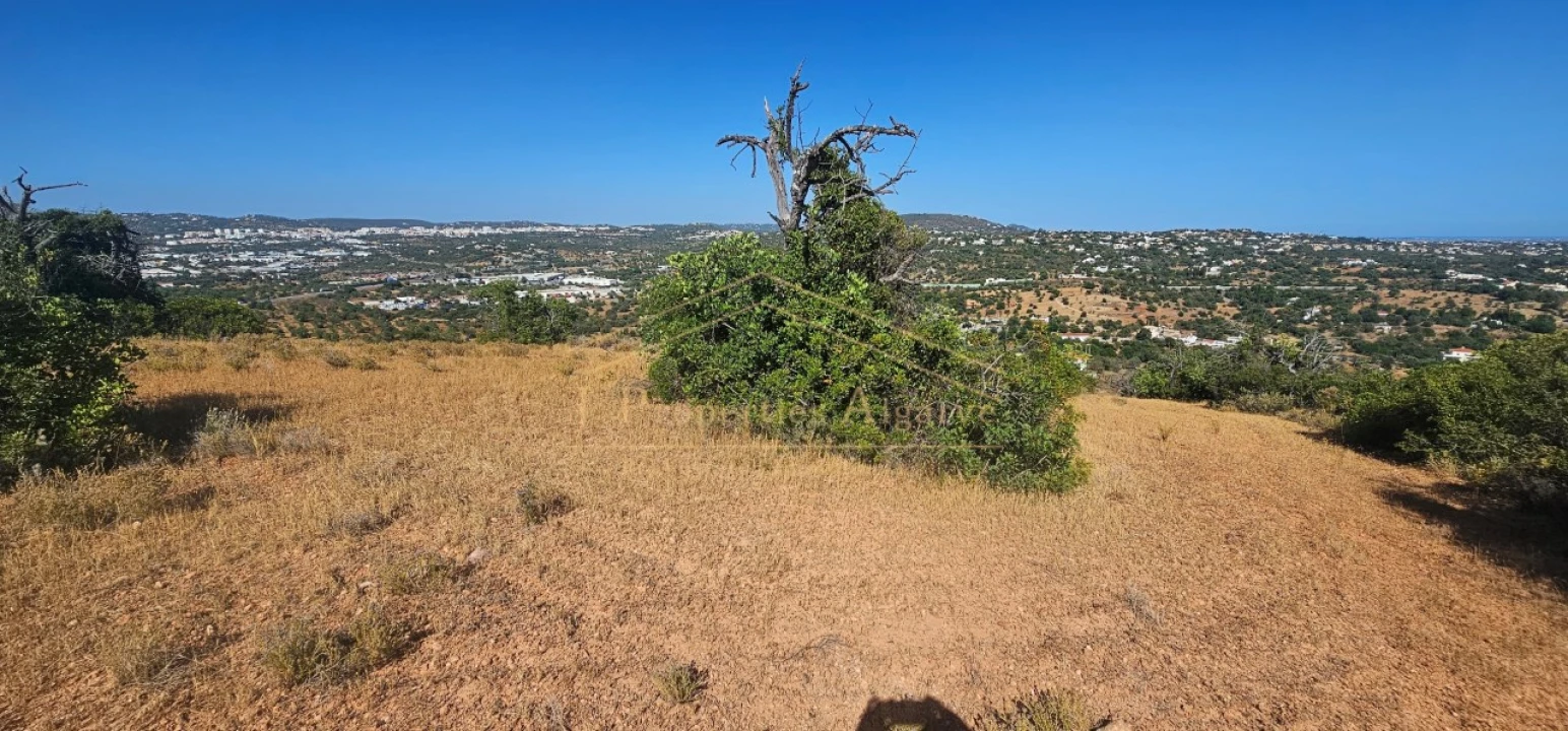 Apartamento para Venda em Loule (São Sebastião) Foto 8