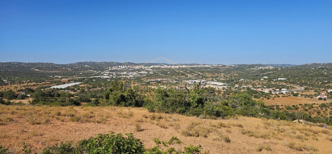 Apartamento para Venda em Loule (São Sebastião) Foto 1