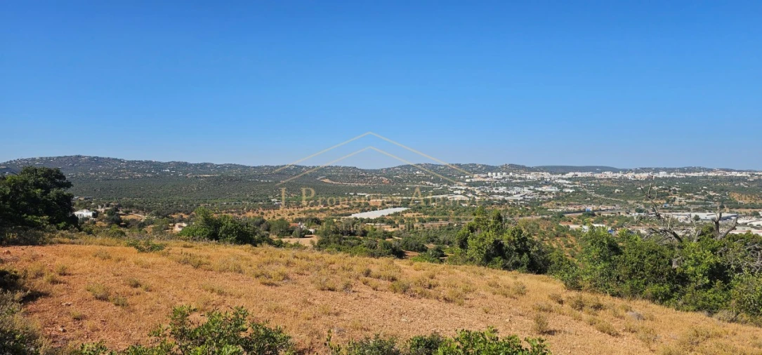 Apartamento para Venda em Loule (São Sebastião) Foto 2