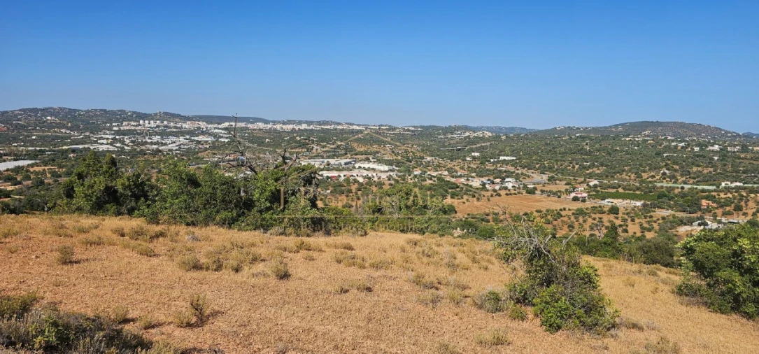 Apartamento para Venda em Loule (São Sebastião) Foto 4