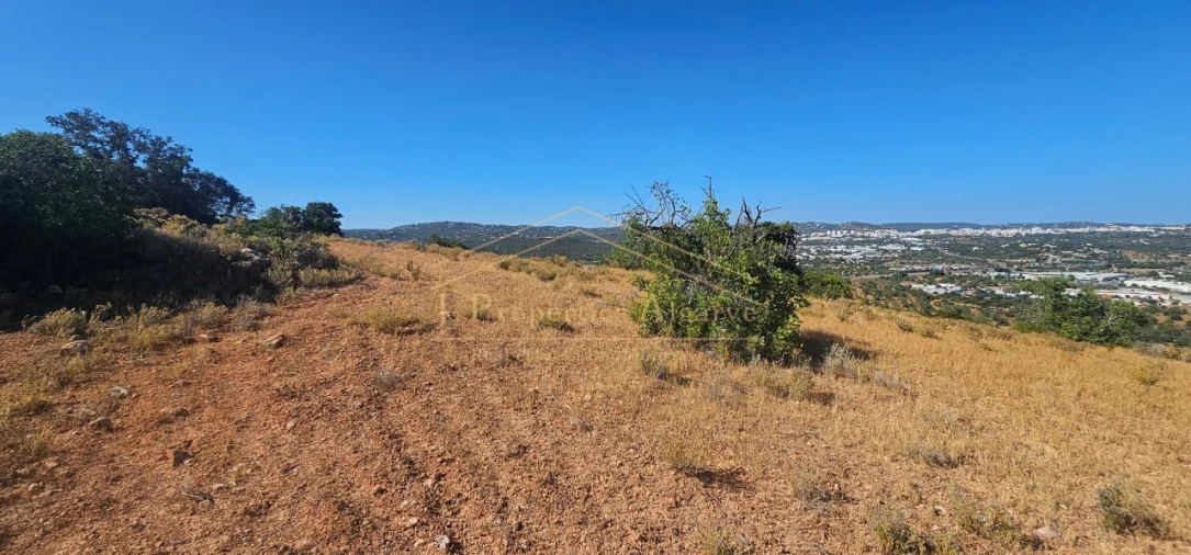 Apartamento para Venda em Loule (São Sebastião) Foto 5