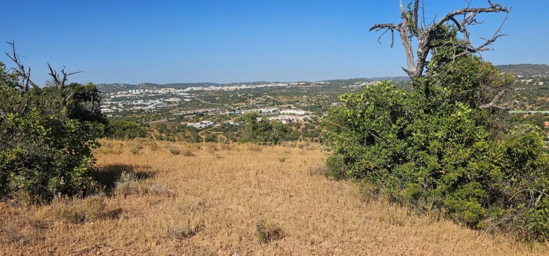 Apartamento para Venda em Loule (São Sebastião) Foto 6