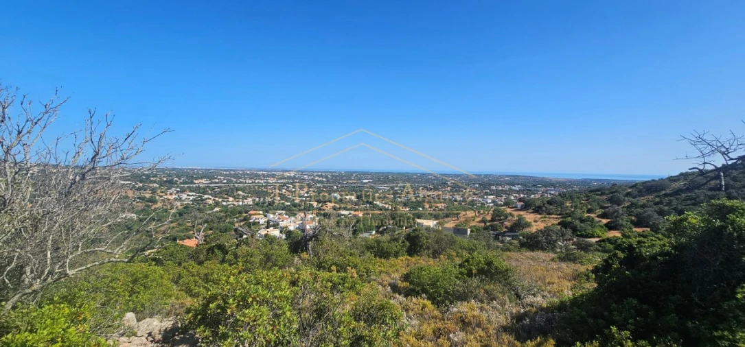 Apartamento para Venda em Loule (São Sebastião) Foto 7