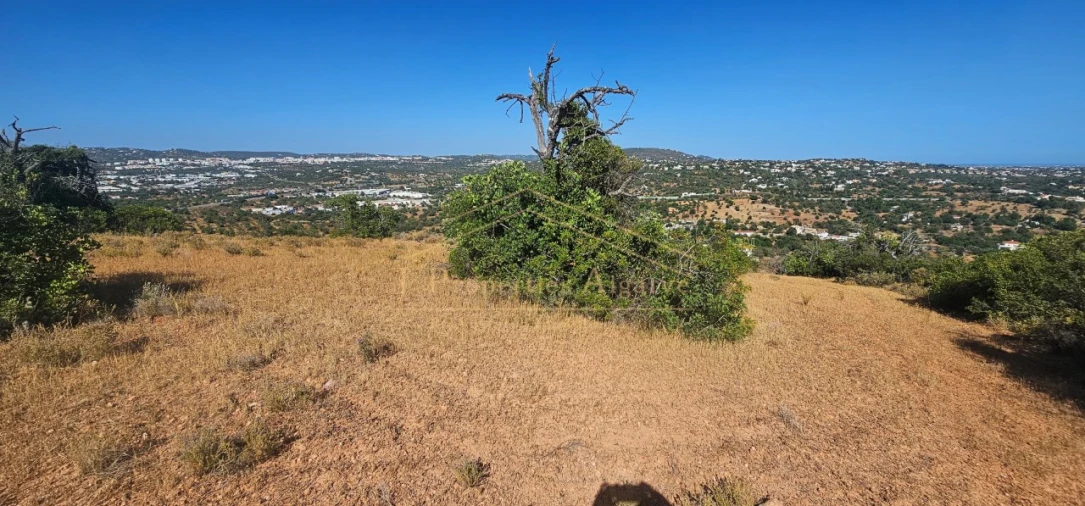 Apartamento para Venda em Loule (São Sebastião) Foto 8