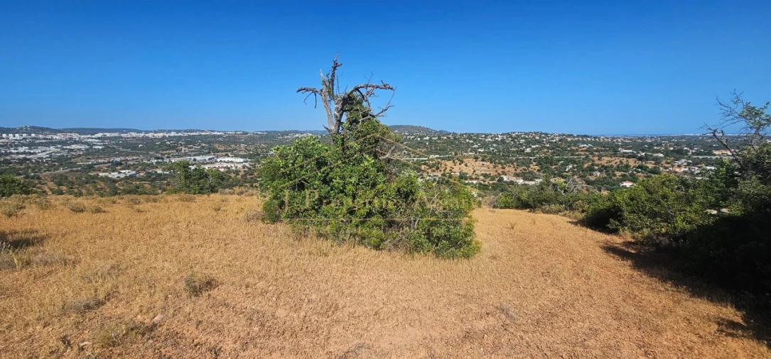 Apartamento para Venda em Loule (São Sebastião) Foto 9