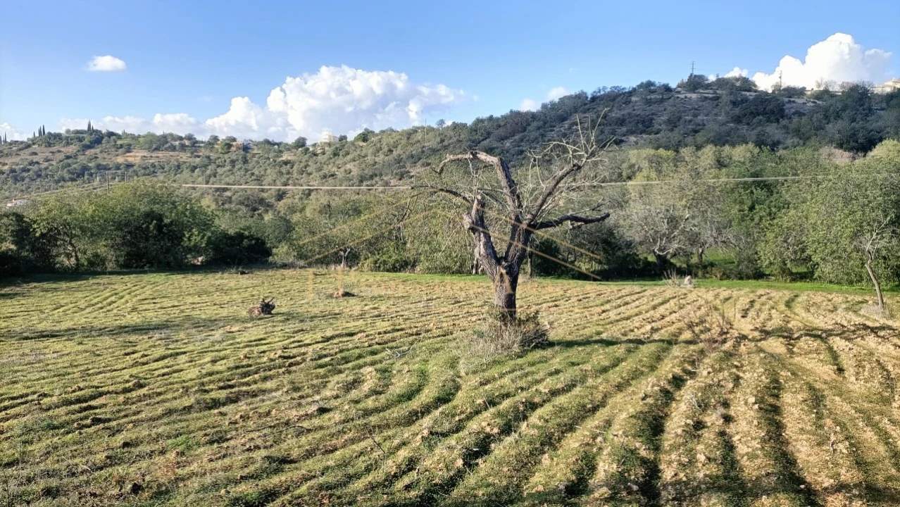 Terreno para Venda em Boliqueime Foto 10