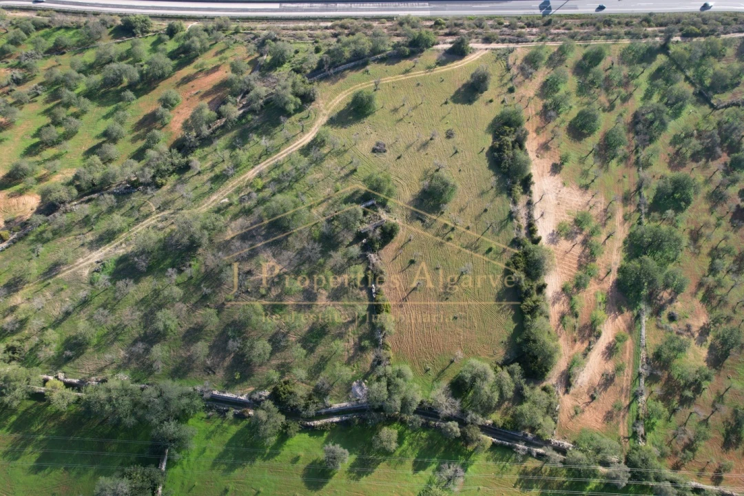 Terreno para Venda em Boliqueime Foto 5