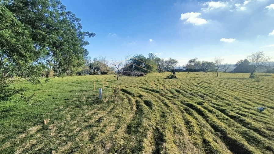 Terreno para Venda em Boliqueime Foto 9