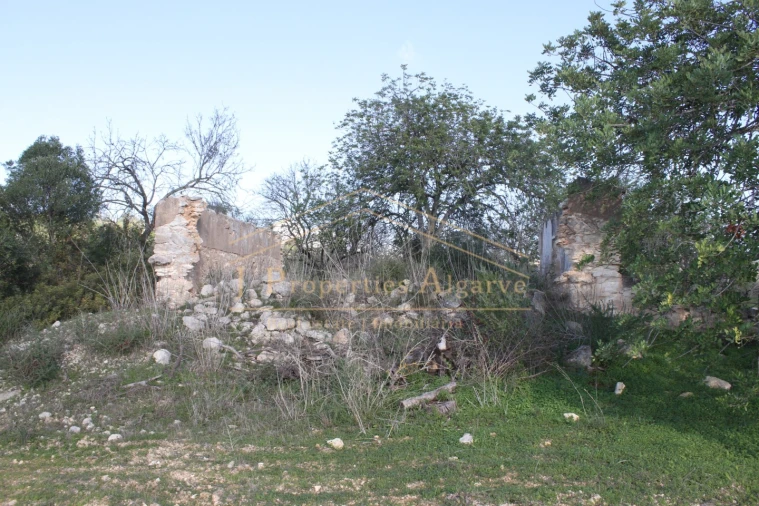 Terreno para Venda em Boliqueime Foto 3