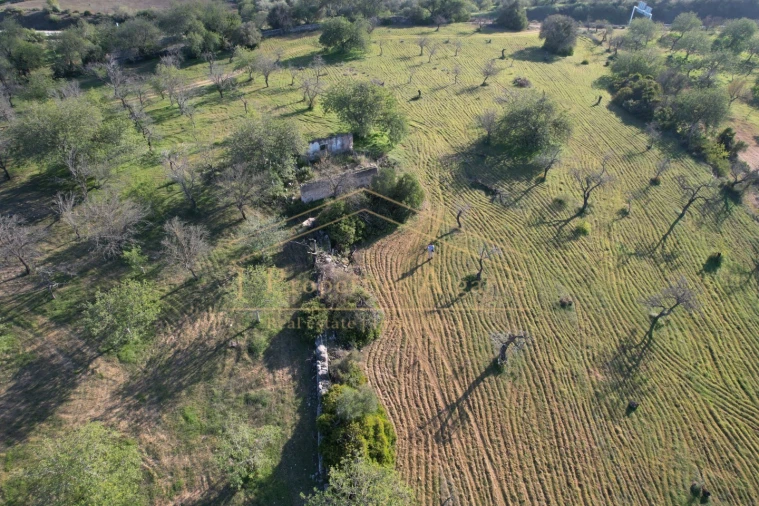 Terreno para Venda em Boliqueime Foto 4