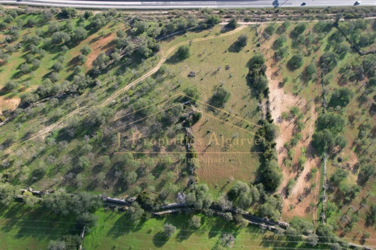 Terreno para Venda em Boliqueime Foto 5