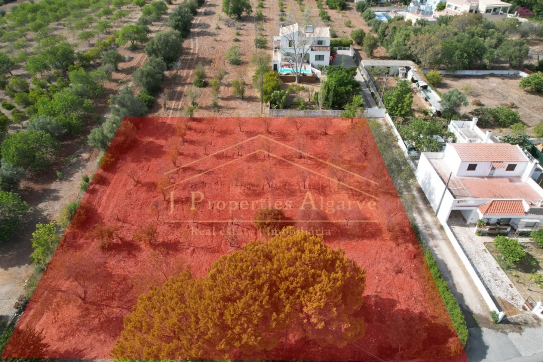 Apartamento para Venda em Loule (São Clemente) Foto 1