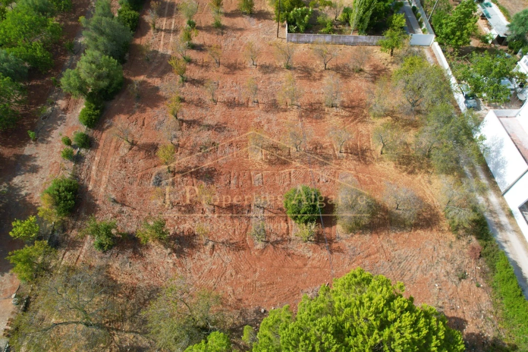Apartamento para Venda em Loule (São Clemente) Foto 4