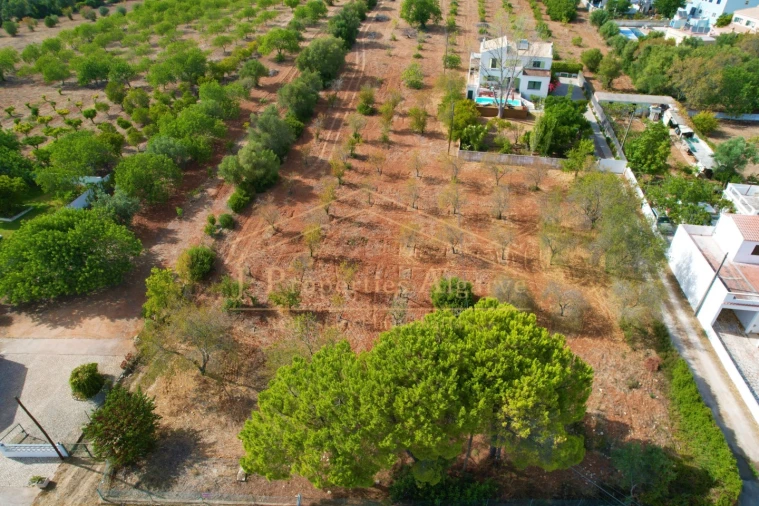 Apartamento para Venda em Loule (São Clemente) Foto 2
