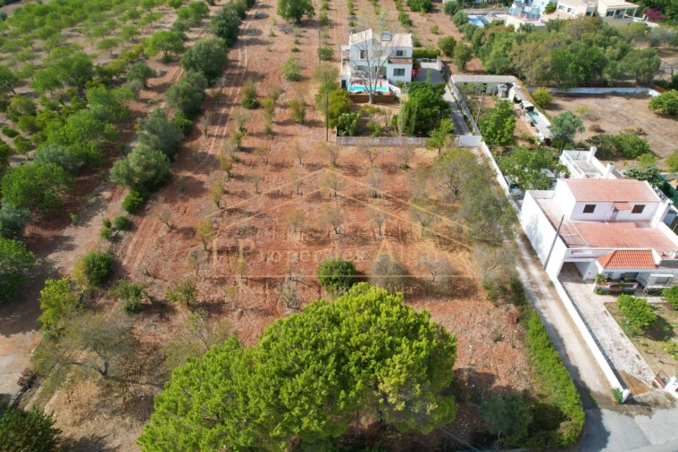 Apartamento para Venda em Loule (São Clemente) Foto 3