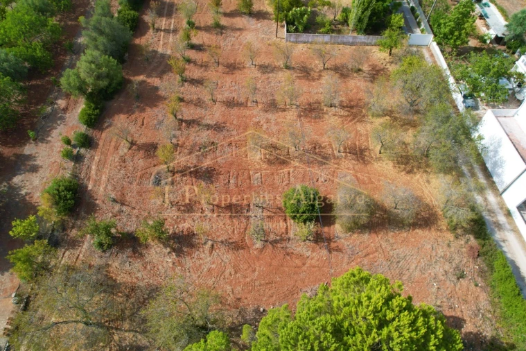 Apartamento para Venda em Loule (São Clemente) Foto 4