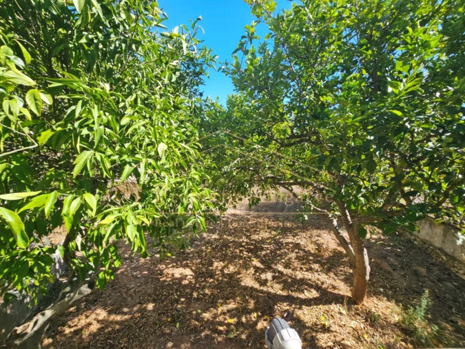 Moradia T7 para Venda em Loule (São Sebastião) Foto 46