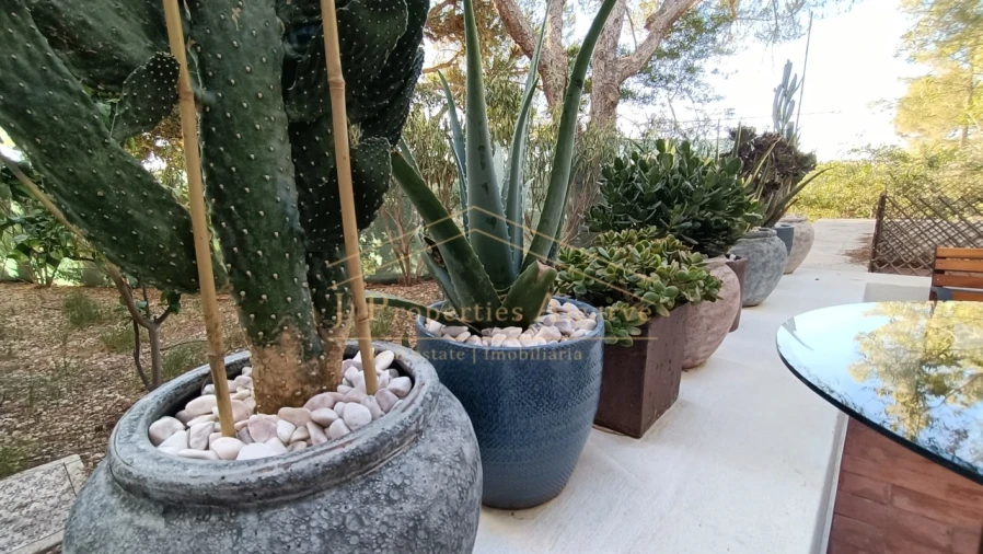 Apartamento T2 para Venda em Almancil Foto 21