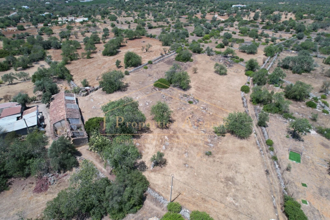 Terreno para Venda em Moncarapacho e Fuseta Foto 17
