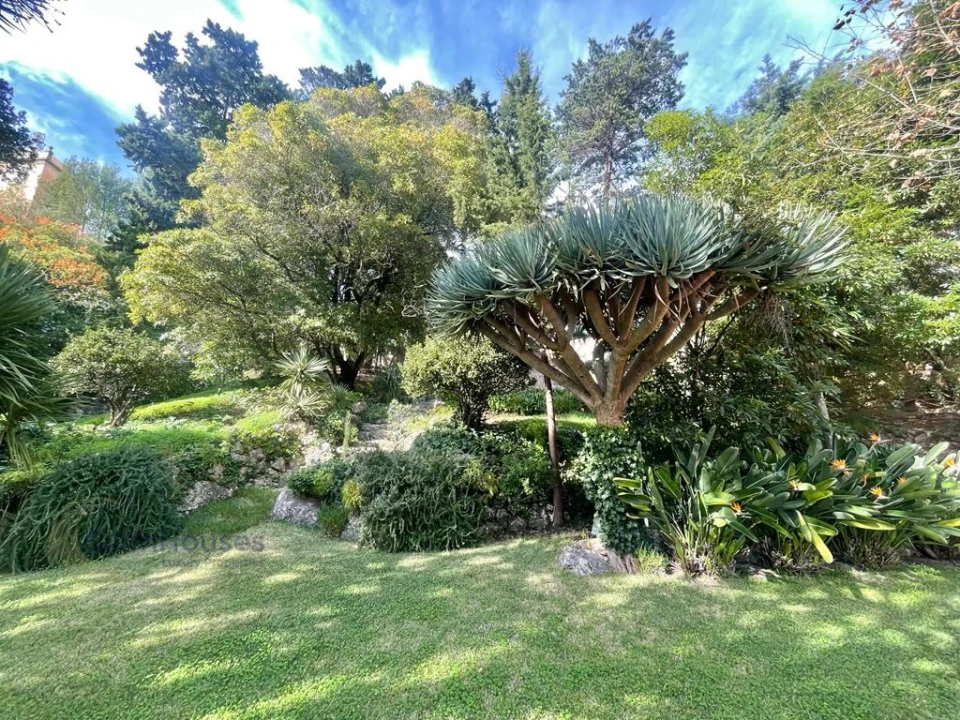 Moradia T7 para Venda em Oeiras e São Julião da Barra, Paço de Arcos e Caxias Foto 36