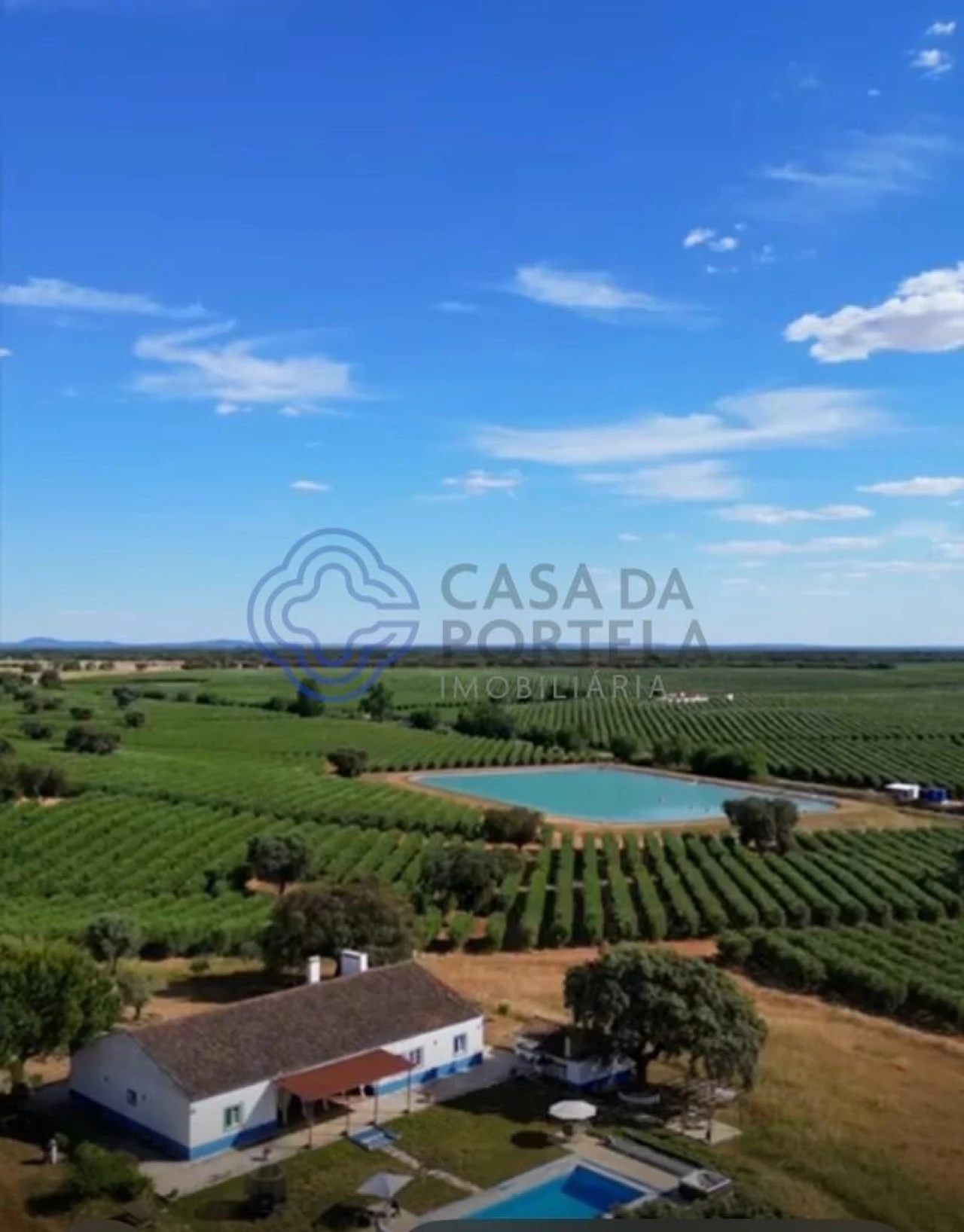 Quinta T5 para Venda em Casa Branca Foto 62