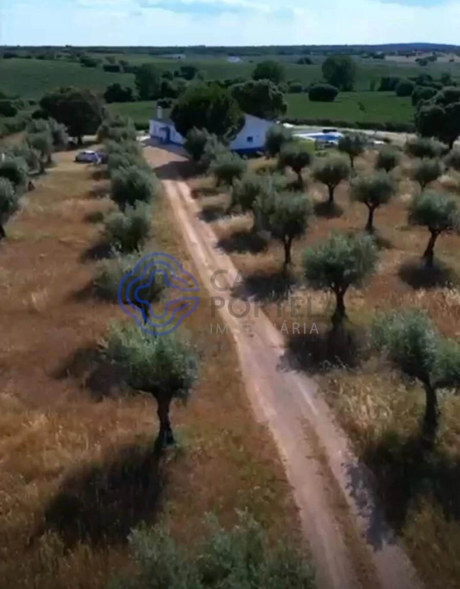 Quinta T5 para Venda em Casa Branca Foto 63