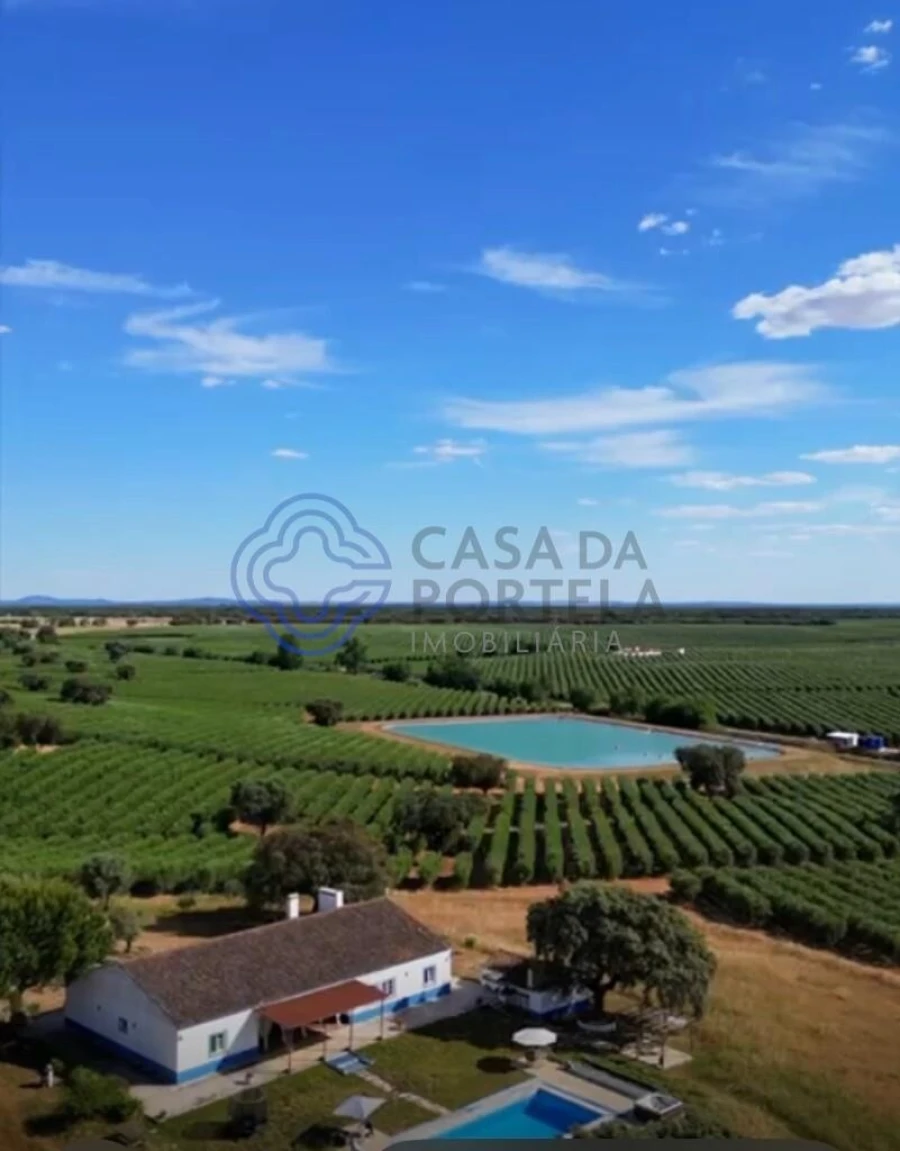 Quinta T5 para Venda em Casa Branca Foto 62