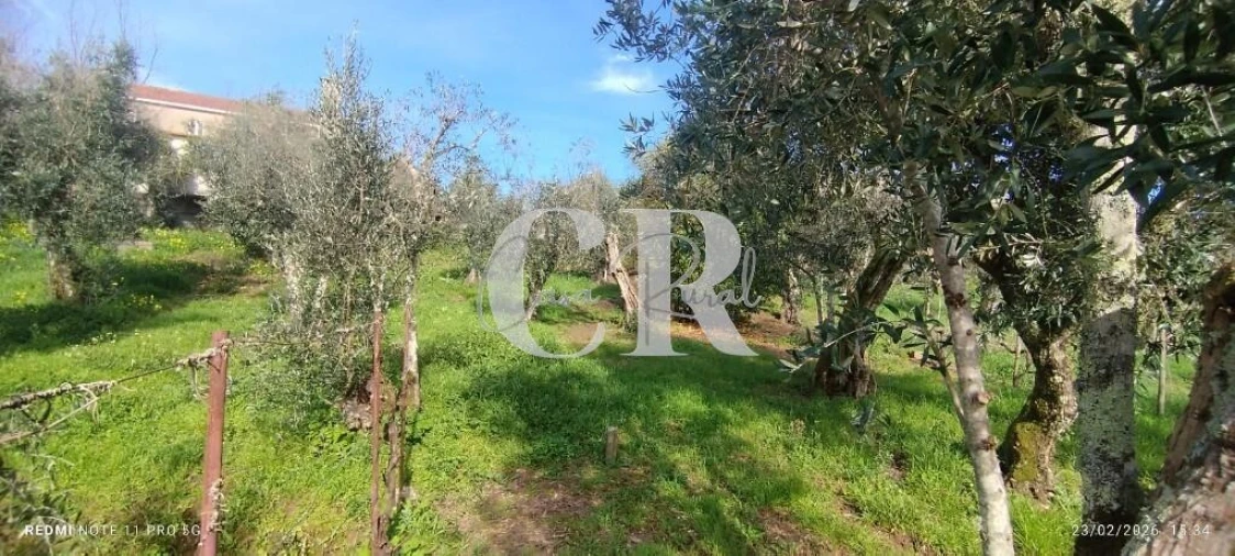 Moradia T3 para Venda em Graça Foto 58