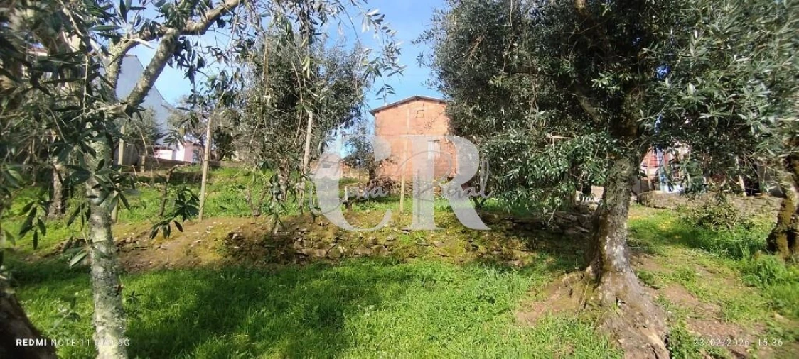 Moradia T3 para Venda em Graça Foto 54