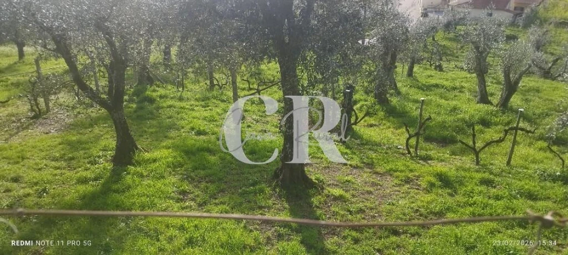 Moradia T3 para Venda em Graça Foto 55