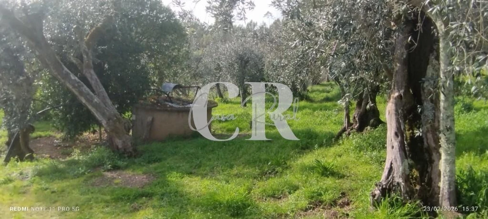 Moradia T3 para Venda em Graça Foto 57