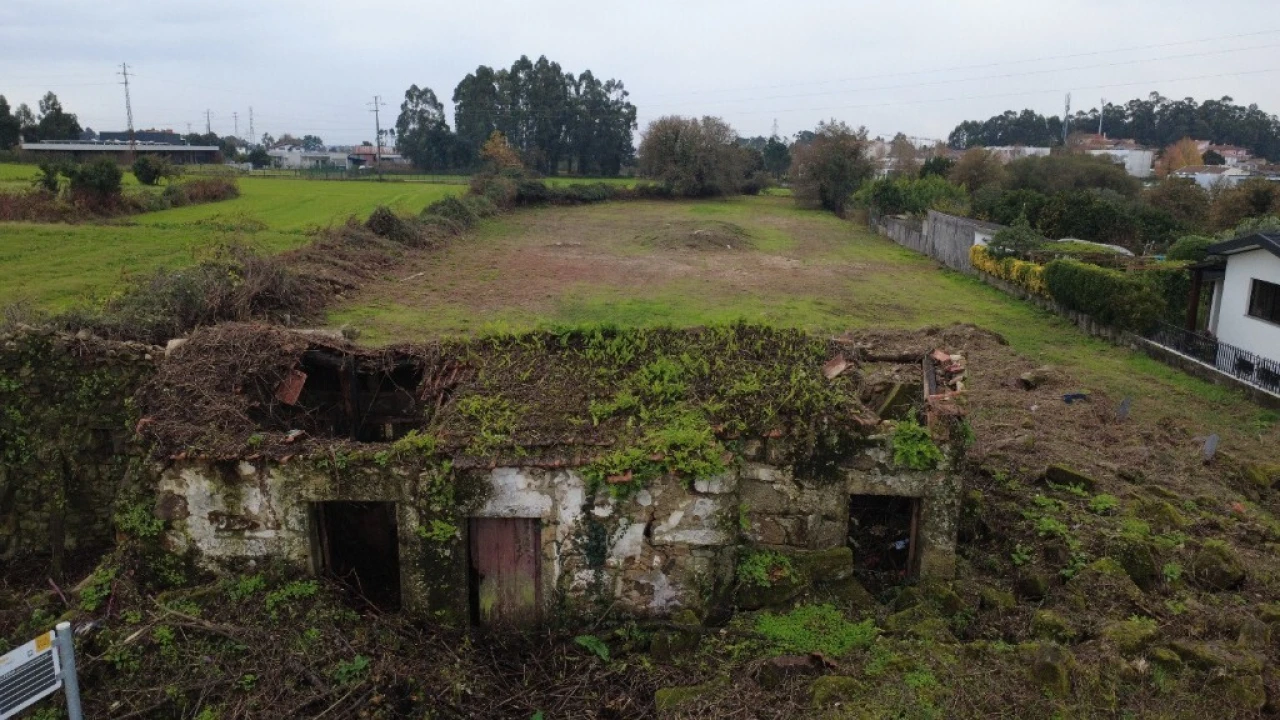 Terreno para Venda em São Pedro Fins Foto 5