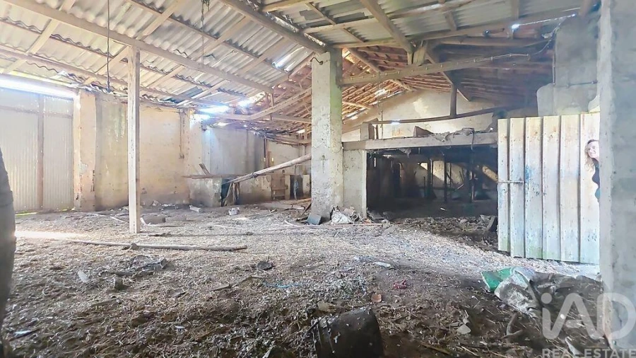 Moradia T3 para Venda em Monte Foto 15