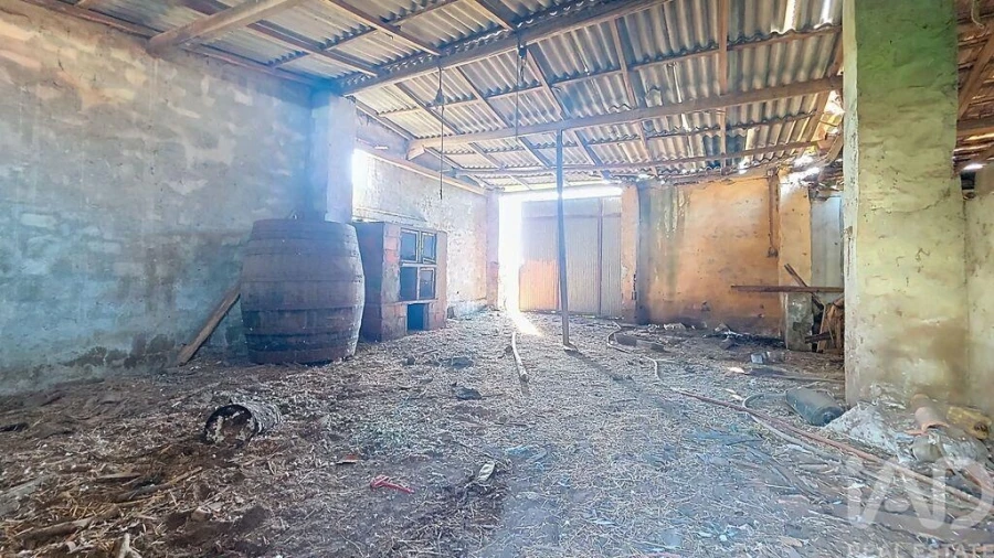 Moradia T3 para Venda em Monte Foto 14