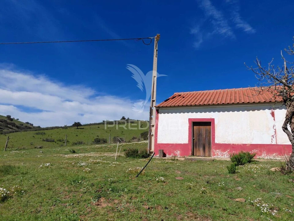 Quinta T3 para Venda em Saboia Foto 20